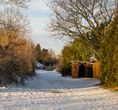 The Frostcorner
