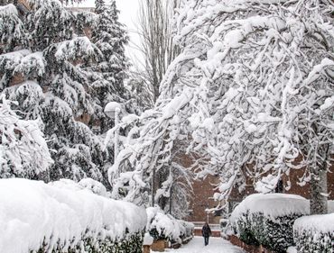 The Frostcorner