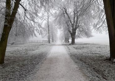 The Frostcorner