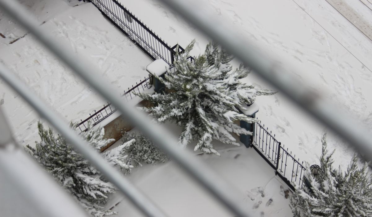 The Frostcorner
